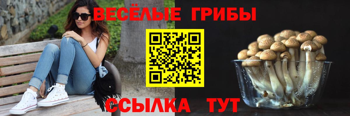 Псилоцибиновые грибы Cubensis  Галлюциногенные грибы ЛСД  Вход с VPN  что такое   Пыть-Ях 